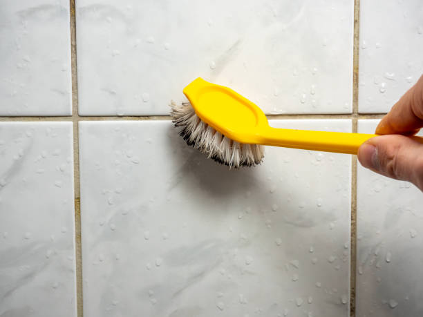 Best Mold Removal Near Me  in Paris, IL
