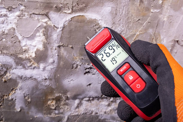 Best Mold Removal and Inspection  in Paris, IL