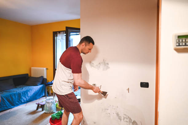 Best Toxic Mold Removal  in Paris, IL