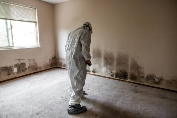 Best Mold Testing  in Paris, IL